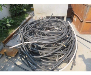 Đơn vị thu mua phế liệu lớn nhất Tây Ninh- Uy tín - Giá tốt