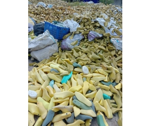 Thu mua phế liệu BÌNH PHƯỚC - Mua cao hơn 30 % giá thị trường