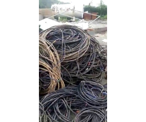 Thu Mua Phế Liệu HCM Giá Cao, Uy Tín ⭐️ Nói Không Với Tình Trạng Ép Giá