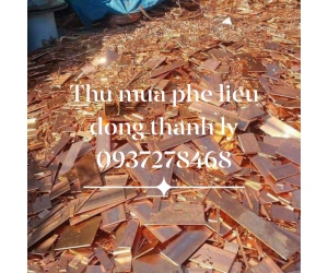 Công ty thu mua phế liệu giá cao tại Xuân Lộc ĐN