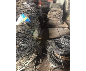 Công Ty Thu Mua Phế Liệu Giá Cao Tại Tây Ninh (0979 227 699 )